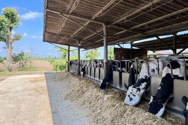 オーガニックファームCascina Femegro